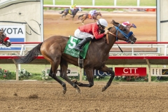 Collusion Illusion and jockey Joseph Talamo win the Grade II, $200,000 Best Pal Stakes, Saturday, August 10, 2019 at Del Mar Thoroughbred Club, Del Mar CA.
© BENOIT PHOTO